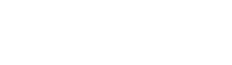 Timoleon logo